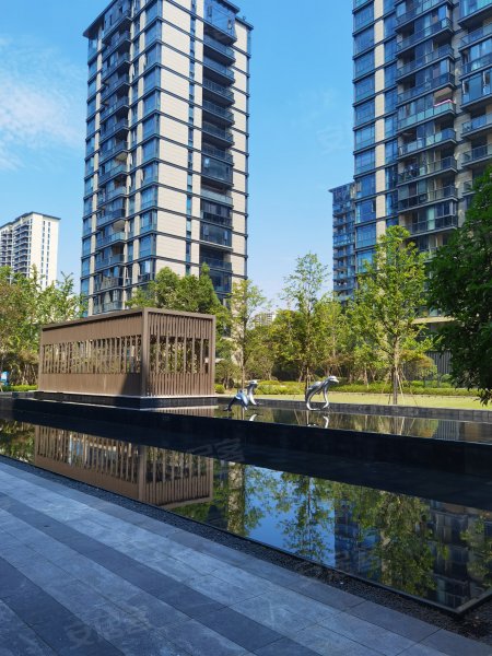 天阳中山邸,城北街,近中山街-丽水天阳中山邸二手房,租房,房价-丽水