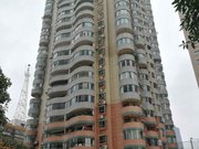 大十字小区图片