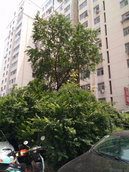 泰和苑(二七),蜜蜂张街188号-郑州泰和苑(二七)二手房,租房,房价-郑州