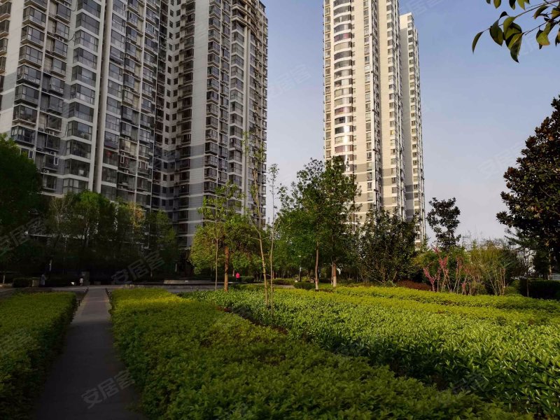 星城国际,滏河北大街-邯郸星城国际二手房,租房,房价-邯郸安居客