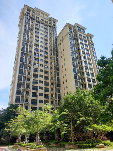 大洋红树湾二期,长富路20号-汕头大洋红树湾二期二手房,租房,房价