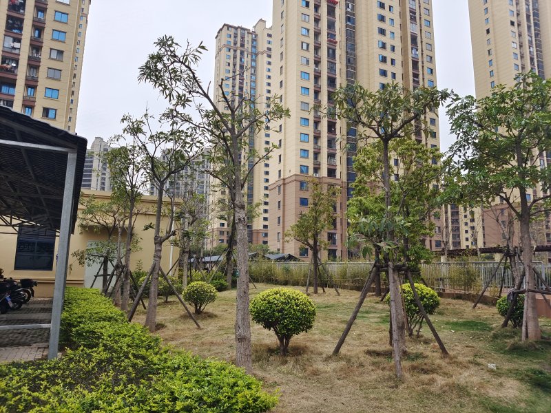 泗水雅居,下郑街399号-莆田泗水雅居二手房,租房,房价-莆田安居客