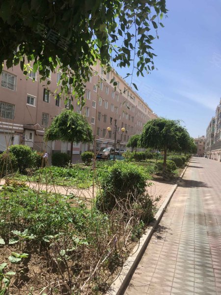 光明花园(辽中),中心街55-1号-沈阳光明花园(辽中)二手房,租房,房价