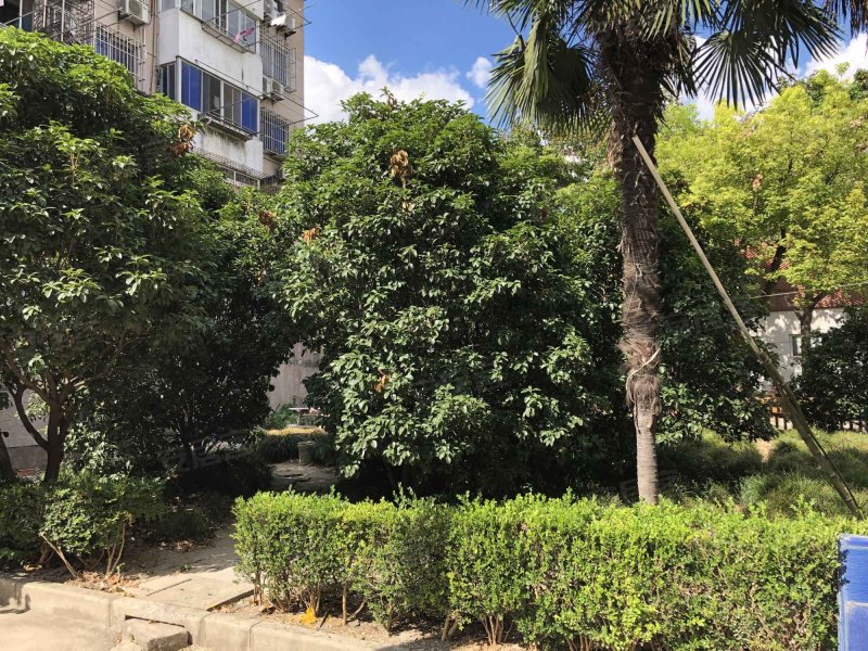 北大街127弄小区 