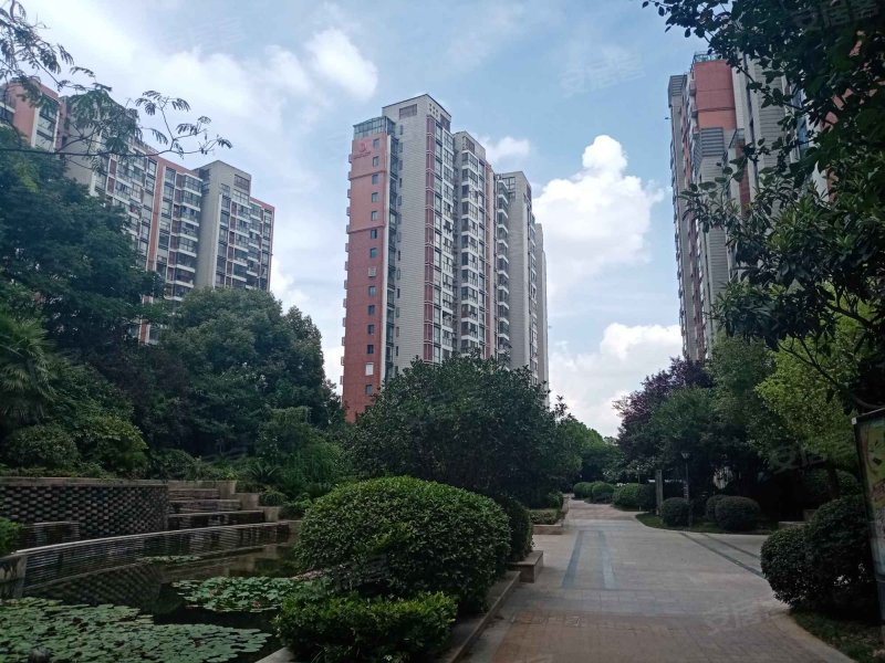 名城世家花园(西区),小行路58号-南京名城世家花园(西区)二手房,租房