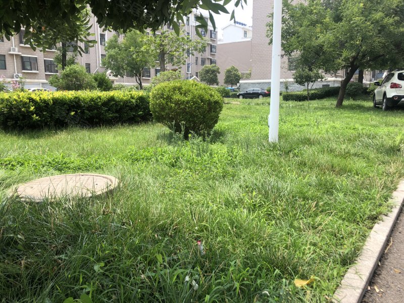 韵皓金桂园,罗六路-临沂韵皓金桂园二手房,租房,房价-临沂安居客