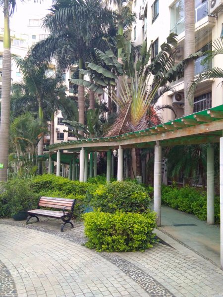 仙岳山庄(公寓住宅),仙岳路265-289号-厦门仙岳山庄(公寓住宅)二手房