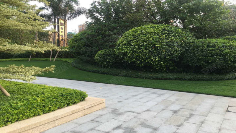 新力龙湾,清远大道-清远新力龙湾二手房,租房,房价-清远安居客