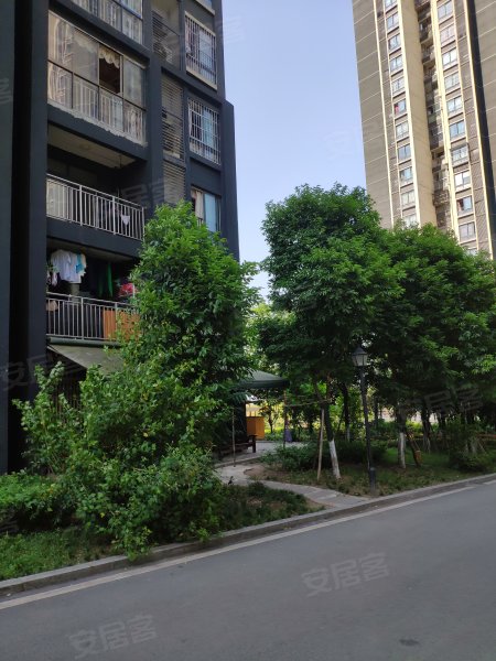 阳光丽苑,港安一路11号-重庆阳光丽苑二手房,租房,房价-重庆安居客