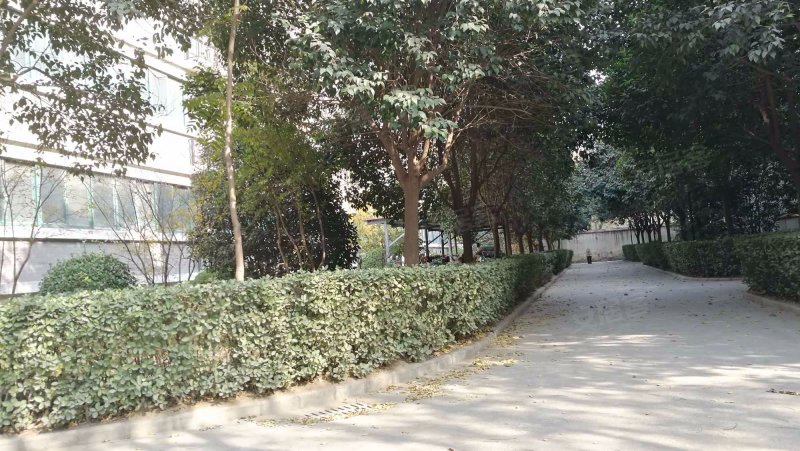 香山公寓,香山路11号-郑州香山公寓二手房,租房,房价-郑州安居客