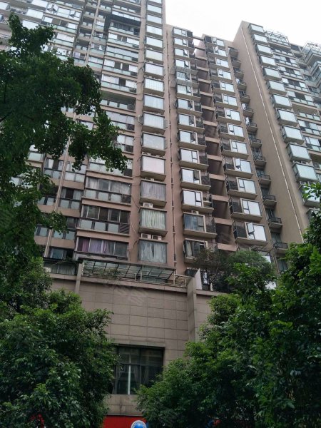 双楠尊邸,广福桥正街2号-成都双楠尊邸二手房,租房,房价-成都安居客