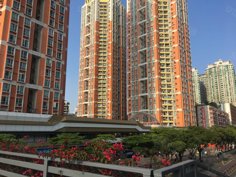 海悦华城,裕亨路50号-深圳海悦华城二手房,租房,房价-深圳安居客