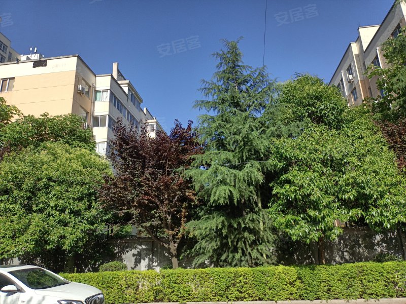 团结花园d区,团结路-菏泽团结花园d区二手房,租房,房价-菏泽安居客