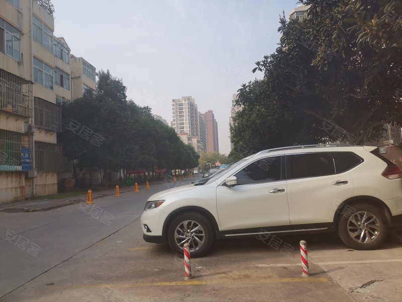 丰泽园(解放),政二街,近人民路-焦作丰泽园(解放)二手房,租房,房价