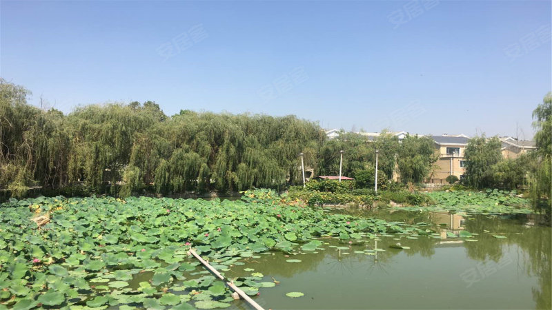 扬州水乡小区图片