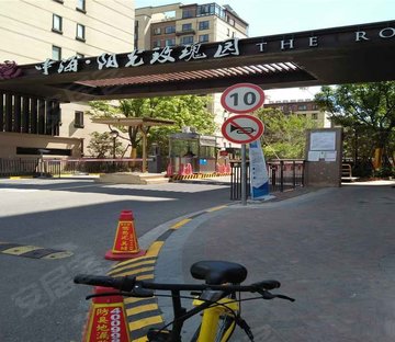 中海阳光玫瑰园