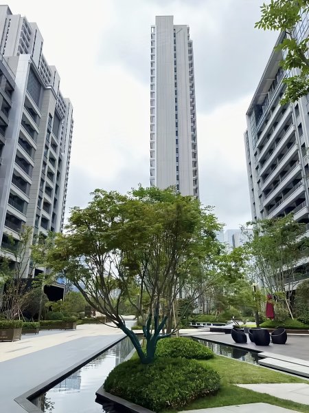 龙湖景粼天序,凤城七路,近开元路-西安龙湖景粼天序二手房,租房,房价
