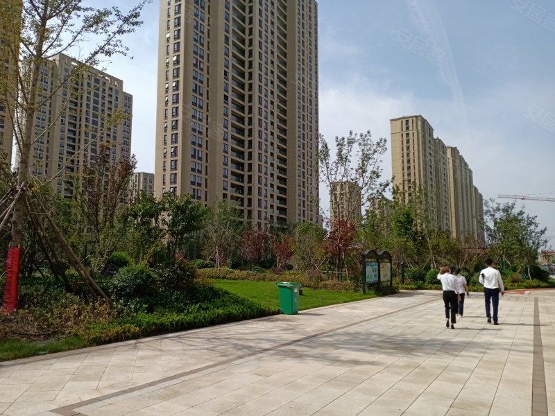 碧桂园天玺,会展路66号-东营碧桂园天玺二手房,租房,房价-东营安居客