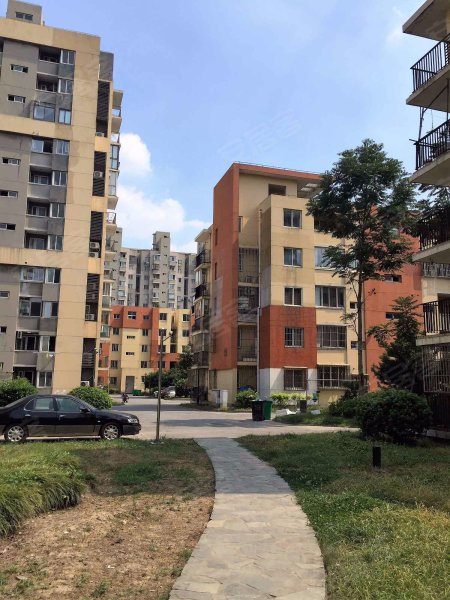 海尚菊苑(北区) 