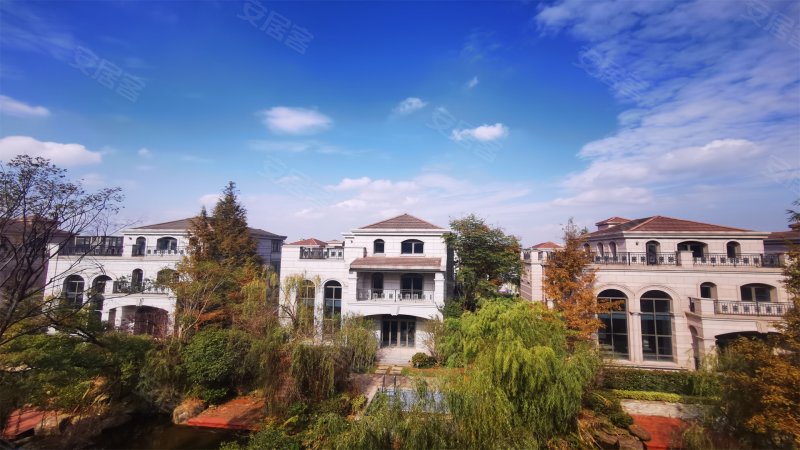 帝宝花园(别墅)