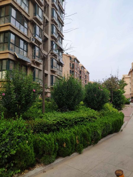 联兴兴河湾b区,湖滨南大道-德州联兴兴河湾b区二手房,租房,房价-德州
