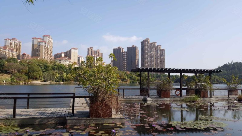 湖滨西路1号-泉州聚龙小镇东篱新村二手房,租房,房价-泉州安居客