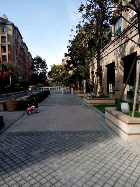 维科城市桃源,西二环北路-慈溪维科城市桃源二手房,租房,房价-慈溪