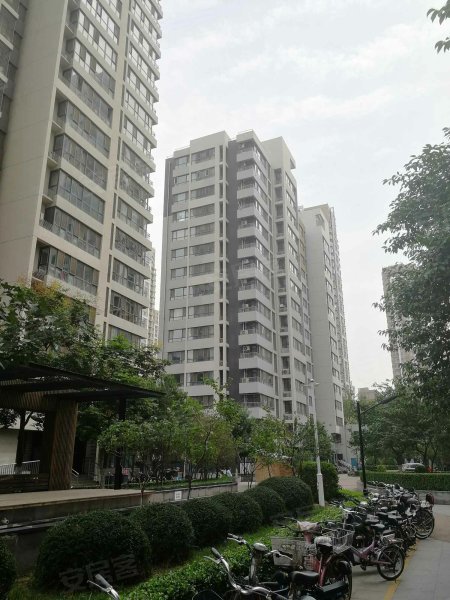 紫晶苑,平安北大街158号-石家庄紫晶苑二手房,租房,房价-石家庄安居客