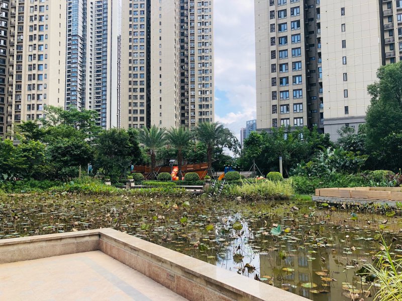 万科城(商品房),云峰路188号-珠海万科城(商品房)二手房,租房,房价