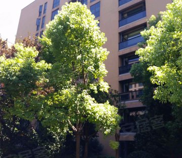 九堡科技园小区图片