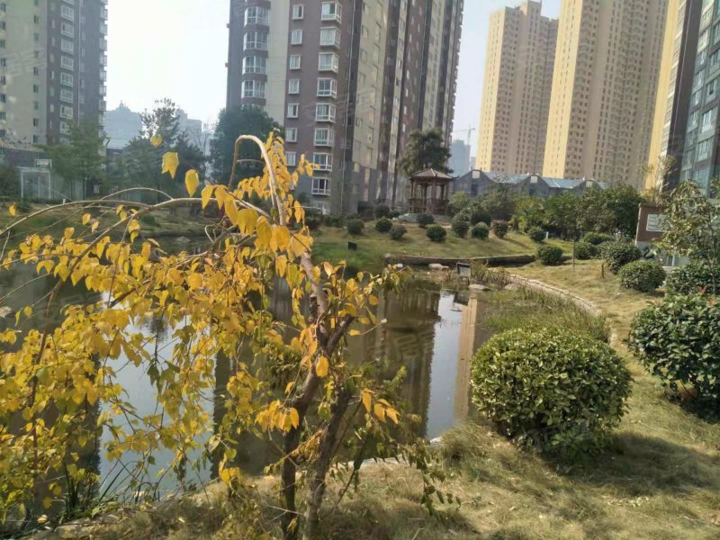 万家园桂花城(商住楼),滨河西路-南阳万家园桂花城(商住楼)二手房