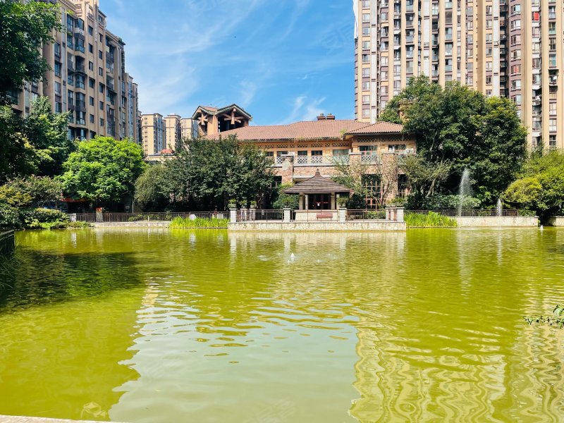 鹭湖国际,彭寿街525号-眉山鹭湖国际二手房,租房,房价-眉山安居客