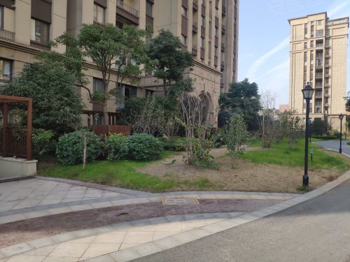 藏龙御景(一期),画院路31号 - 丹阳藏龙御景(一期)二手房,租房,房价