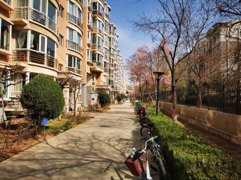 温莎花园,民族北街50号-银川温莎花园二手房,租房,房价-银川安居客