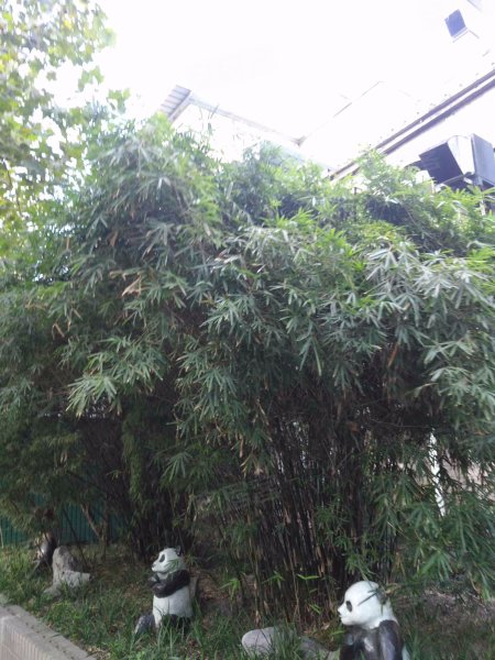 云莲路325,327号小区 