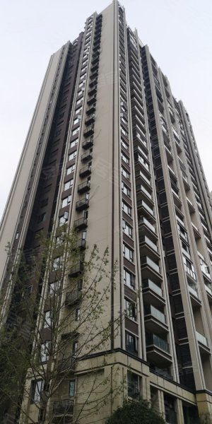 新鸥鹏拉菲公馆d区