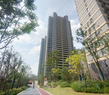 启迪科技城水木园