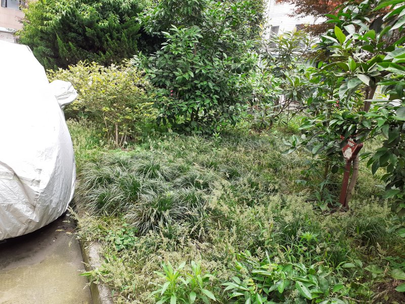 瓜渚湖商住楼