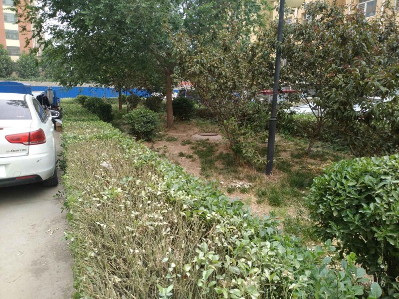 御景名门,问津北街-衡水御景名门二手房,租房,房价-衡水安居客