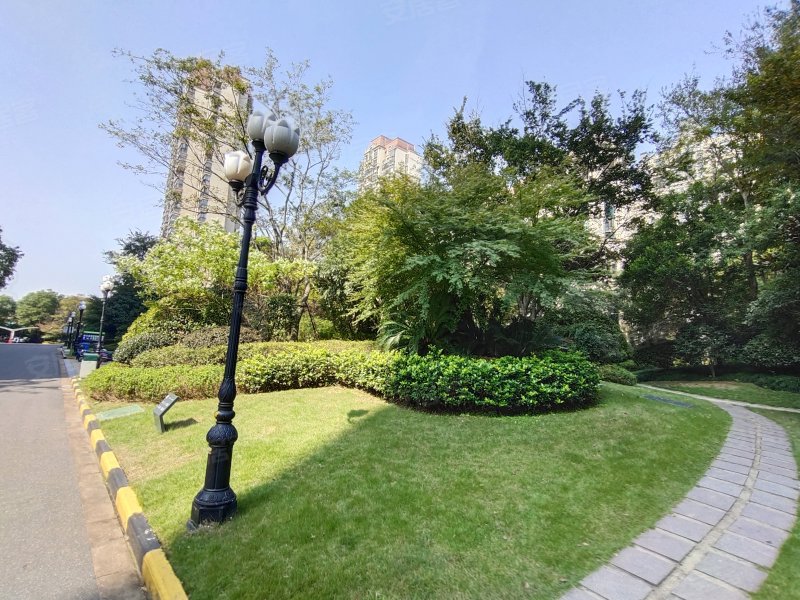 新湖玫瑰园,芹江东路243号-衢州新湖玫瑰园二手房,租房,房价-衢州安居