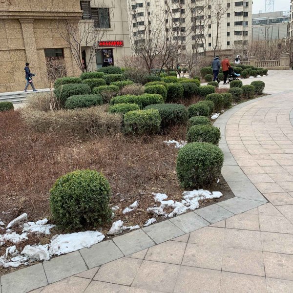 巴黎花园,光荣街-鞍山巴黎花园二手房,租房,房价-鞍山安居客