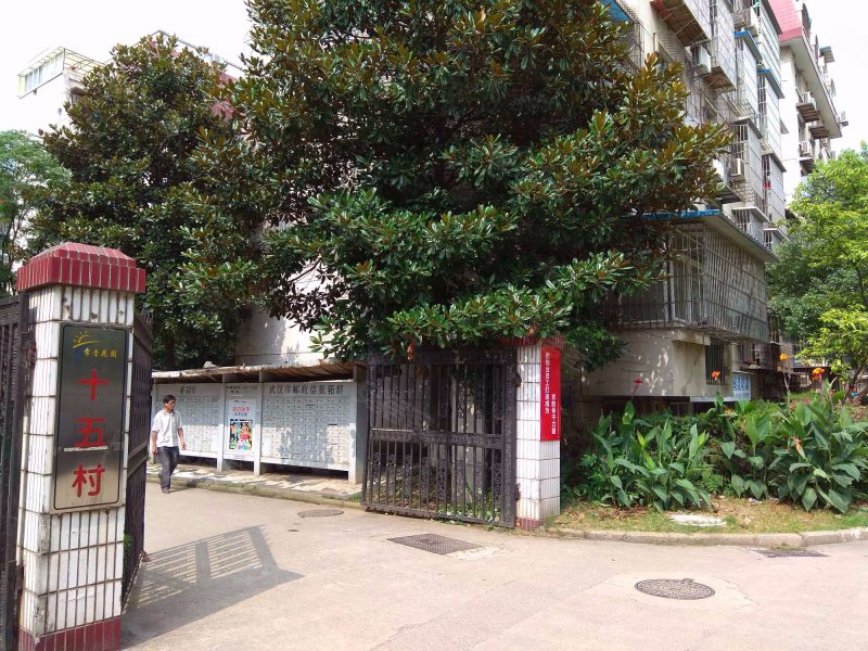 常青花园十五村,香樟三路二街3号-武汉常青花园十五村二手房,租房