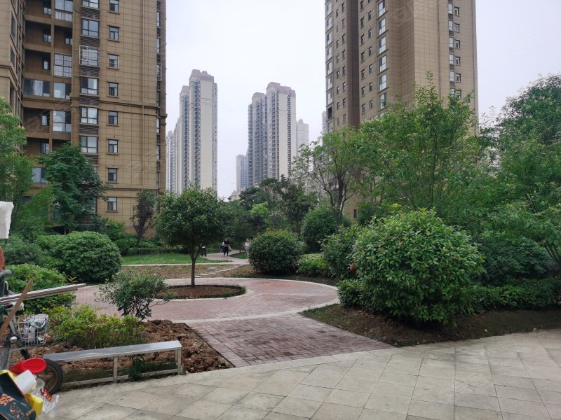 常绿林溪谷(湛河)