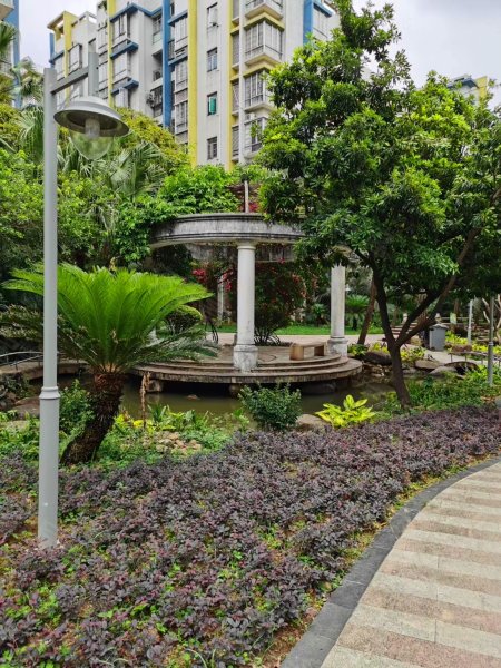 金色华庭,龙珠路18号-三亚金色华庭二手房,租房,房价-三亚安居客