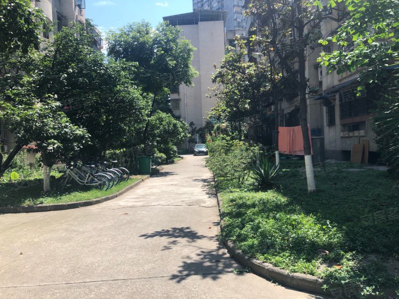 花园小区(涪城),临园路西段5号-绵阳花园小区(涪城)二手房,租房,房价