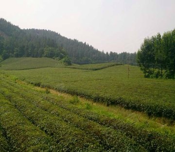 恒和依山郡(公寓住宅)