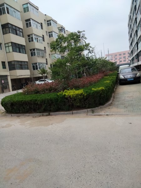 锦华苑小区,阳光街-日照锦华苑小区二手房,租房,房价-日照安居客