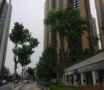 北辰三角洲C3区