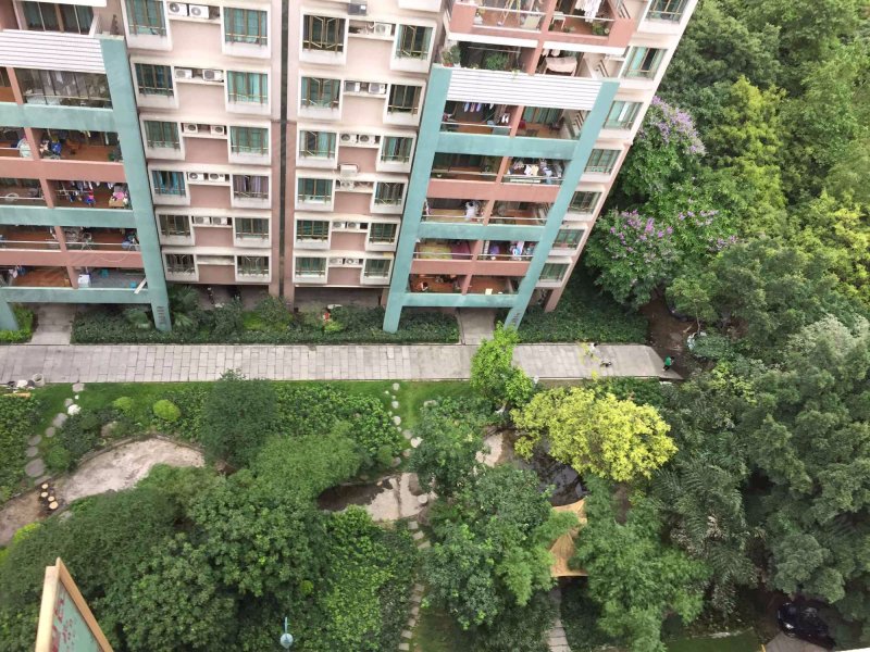 丽江花园九如通津,新湖路-广州丽江花园九如通津二手房,租房,房价