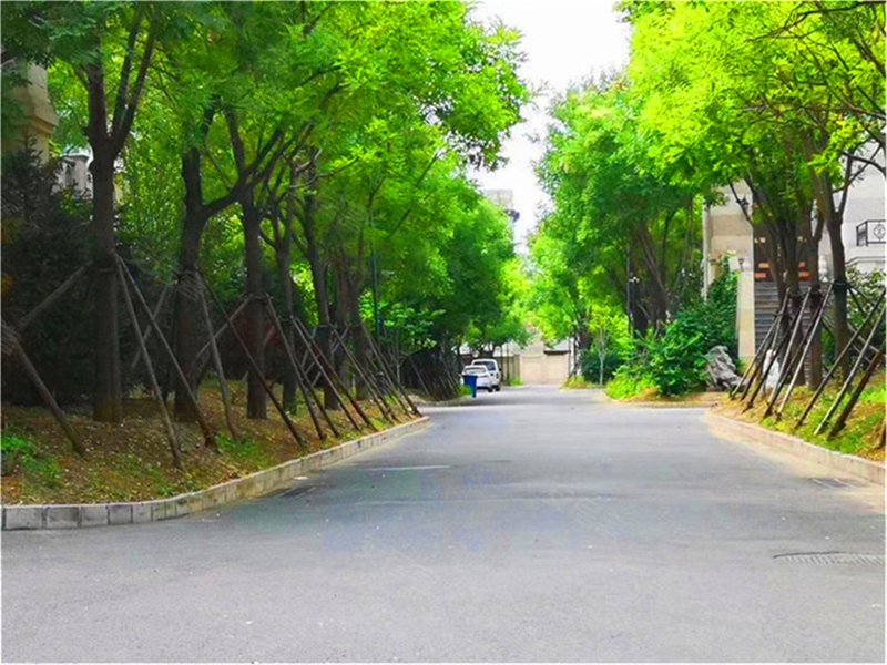 海棠公社(4号院)